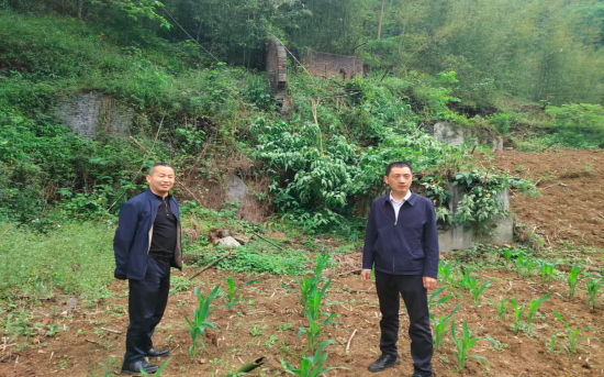 QQ_1777687830569.png