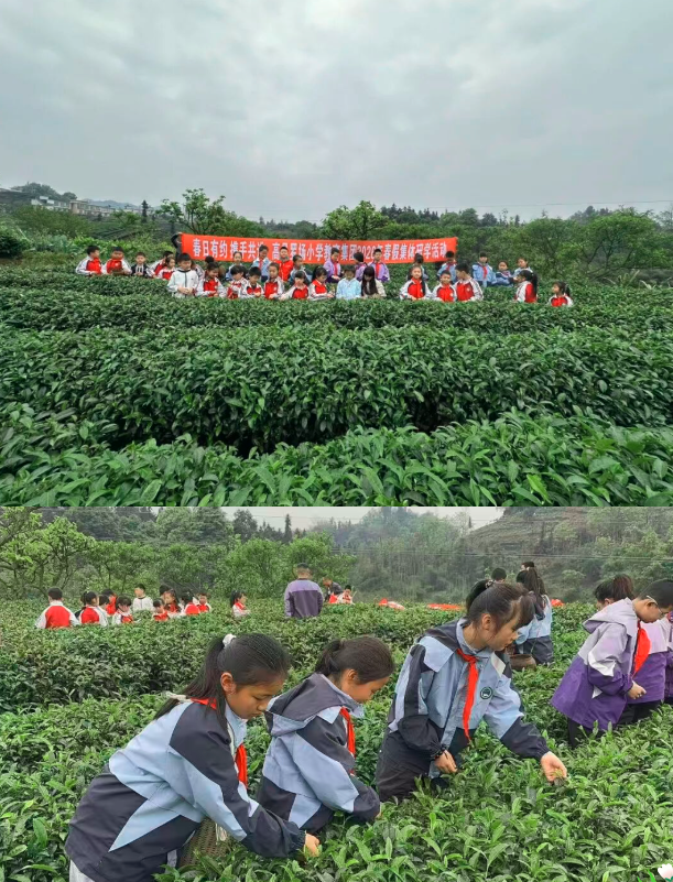 QQ_1777695587802.png