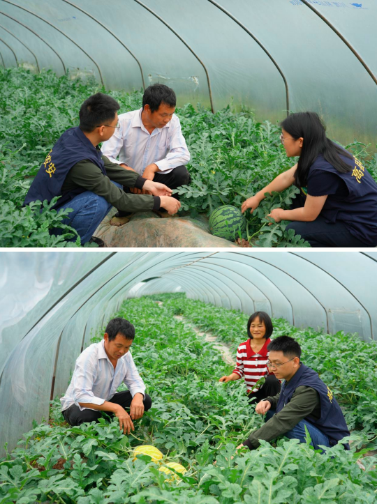 QQ_1777782636308.png