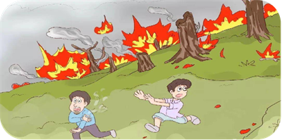 06.png