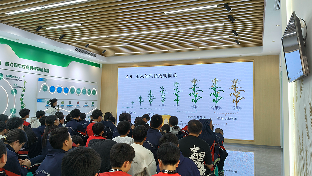 QQ_1778034373542.png