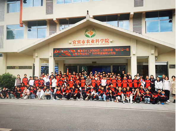 QQ_1778034341388.png