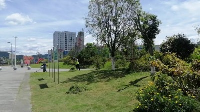 05.jpg