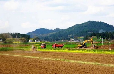 03.jpg