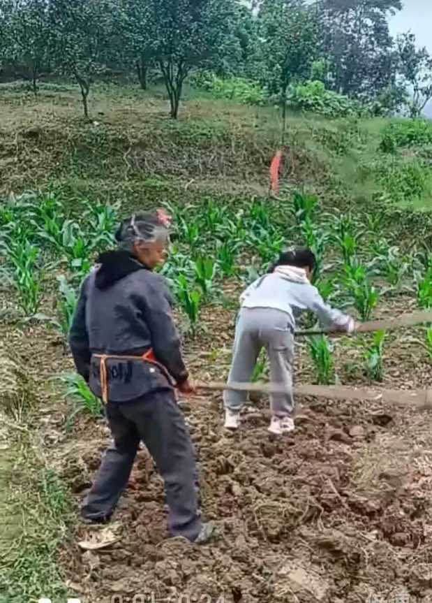 QQ_1778304185176.png