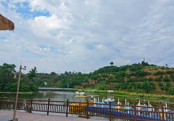QQ_1778646330982.png