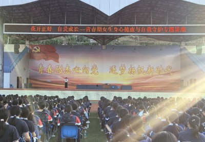 02.jpg