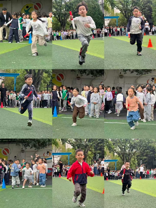 1782291372361087.jpg 图一.jpg