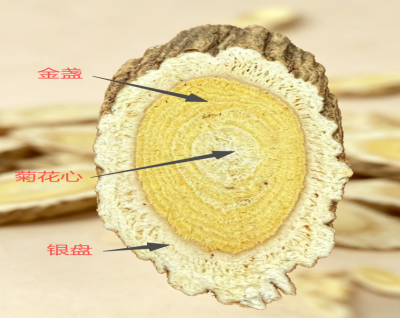 1785030195680143.png 03.png