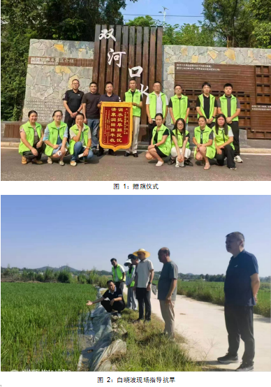 QQ_1788175047691.png